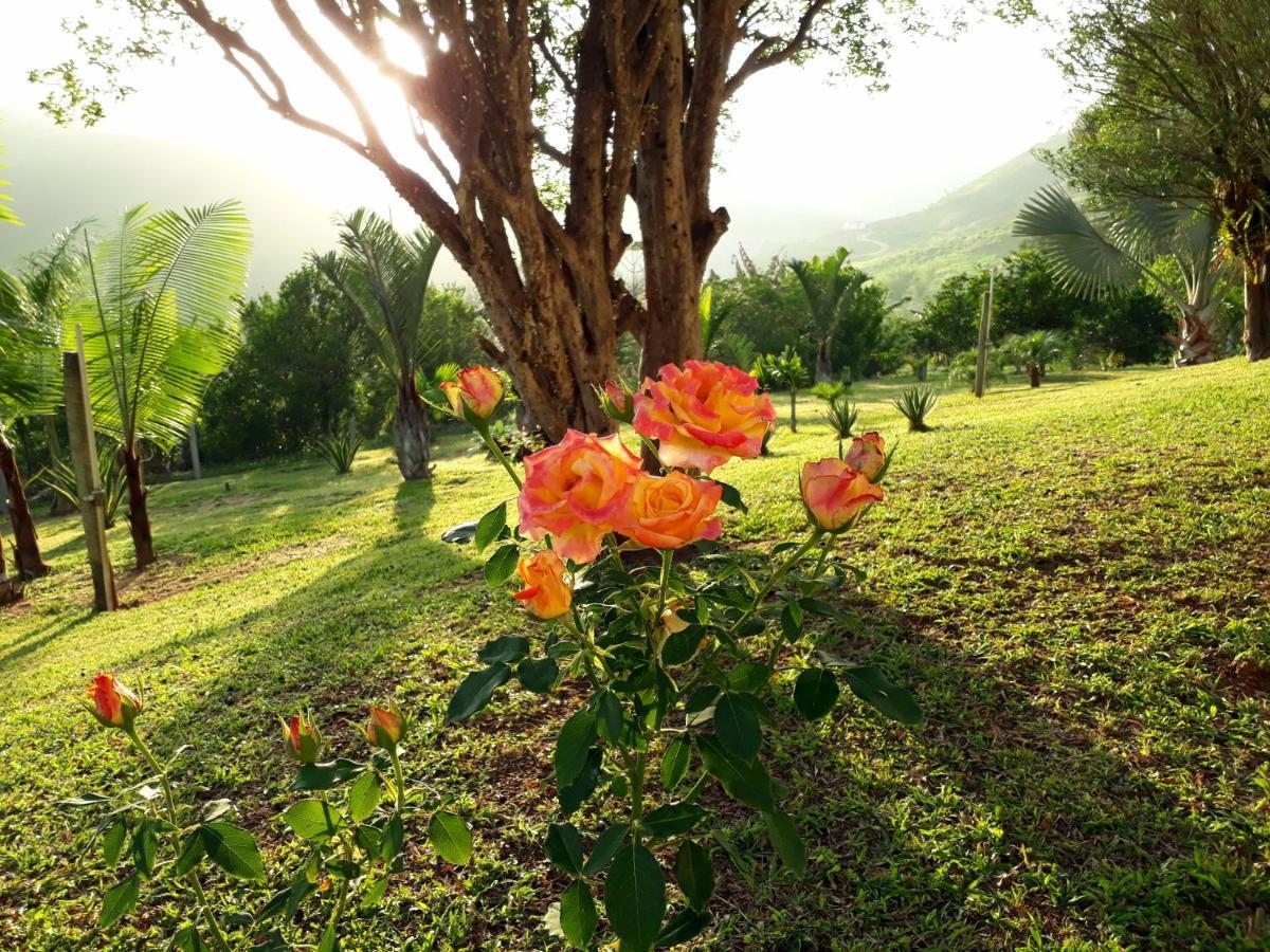 Casa/Sitio Na Serra Em Bom Jardim - Rj Luaran gambar