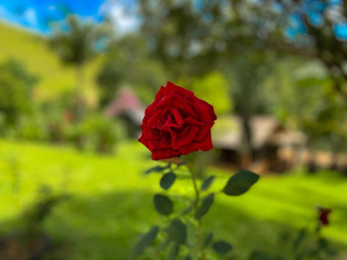 Casa/Sitio Na Serra Em Bom Jardim - Rj Luaran gambar