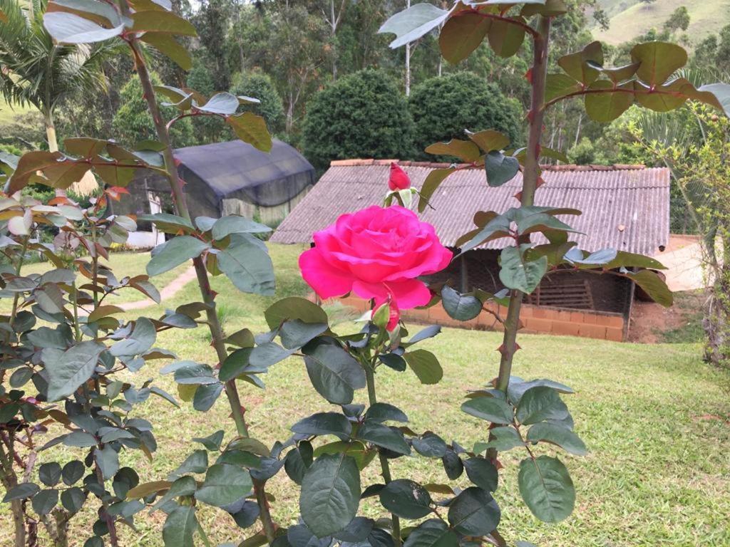 Casa/Sitio Na Serra Em Bom Jardim - Rj Luaran gambar
