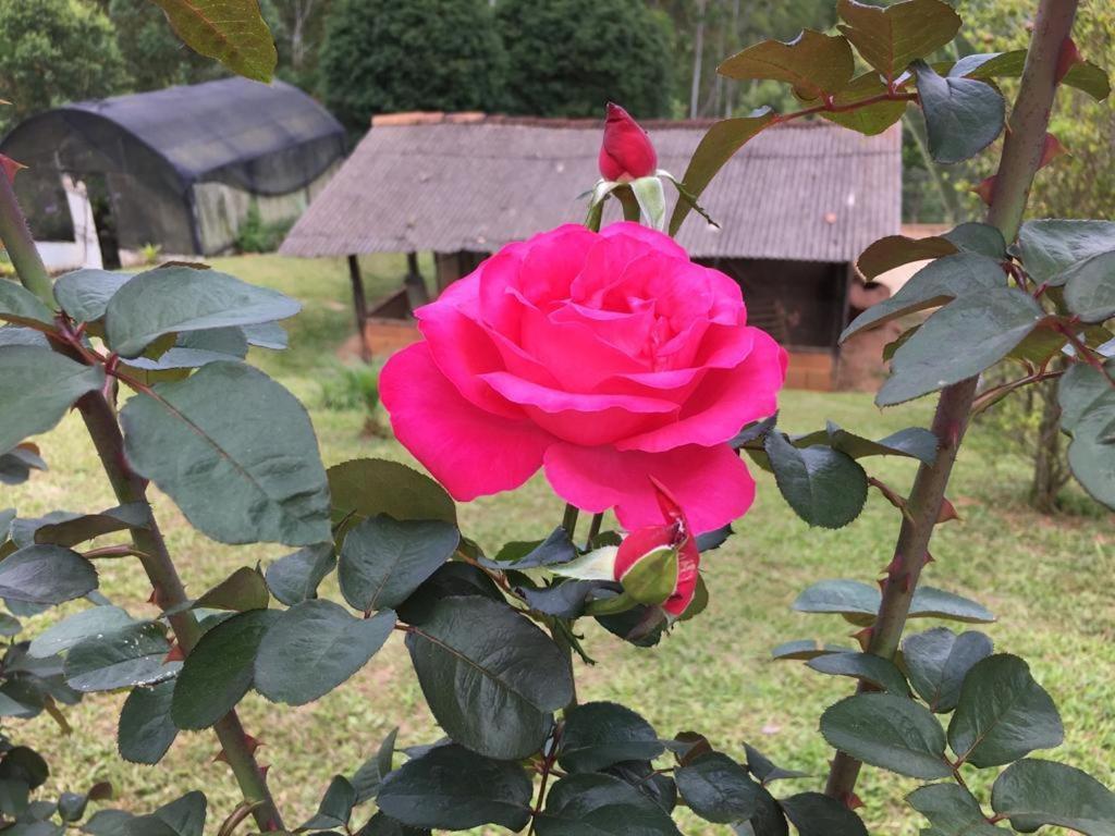 Casa/Sitio Na Serra Em Bom Jardim - Rj Luaran gambar