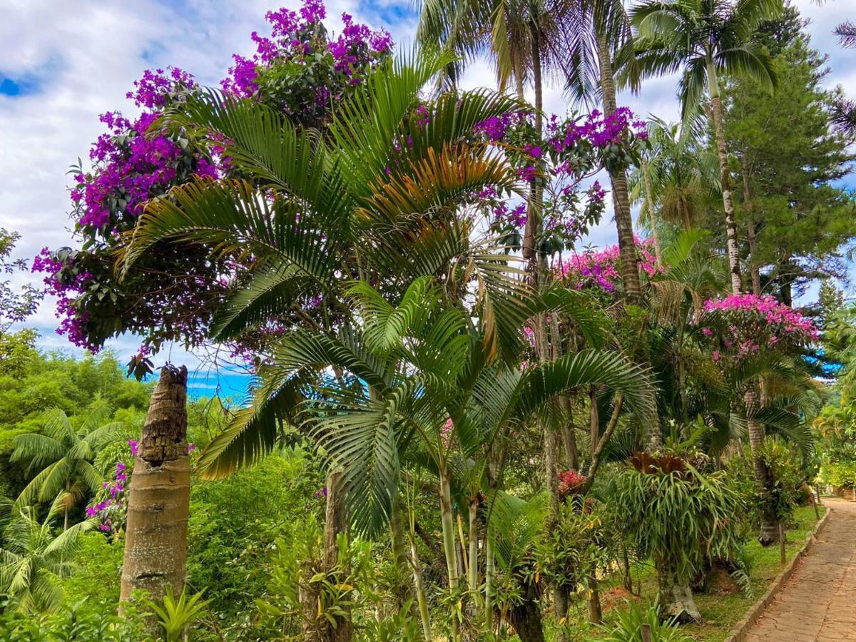 Casa/Sitio Na Serra Em Bom Jardim - Rj Luaran gambar