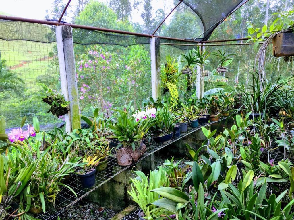 Casa/Sitio Na Serra Em Bom Jardim - Rj Luaran gambar