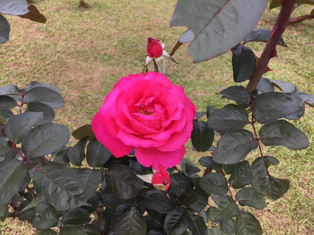 Casa/Sitio Na Serra Em Bom Jardim - Rj Luaran gambar