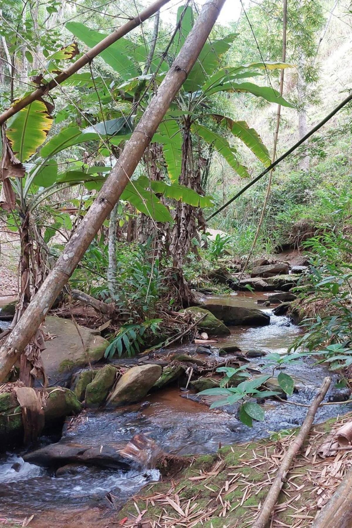 Casa/Sitio Na Serra Em Bom Jardim - Rj Luaran gambar